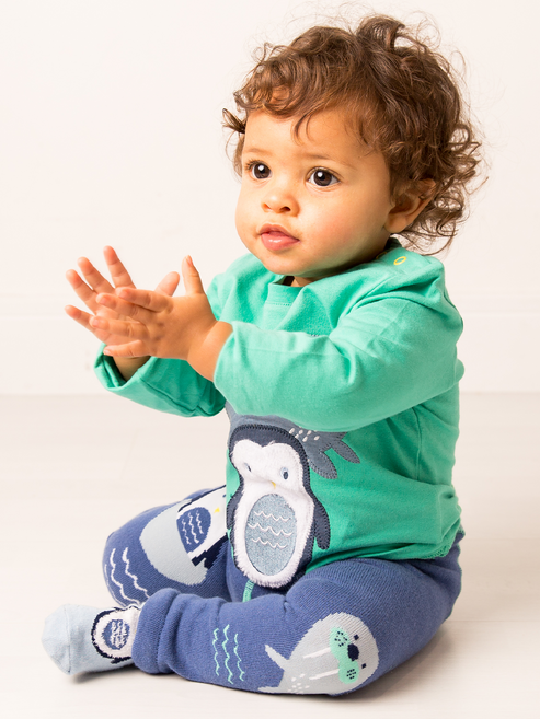 Arctic Friends Socks