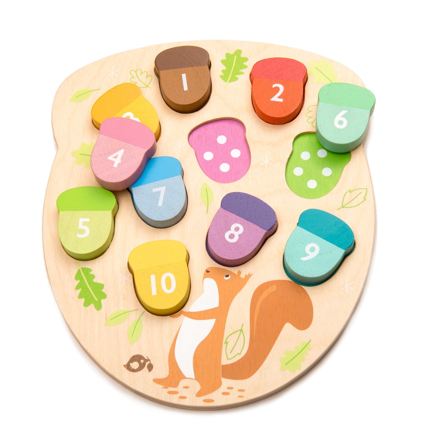 How Many Acorns? Counting Puzzle Toy