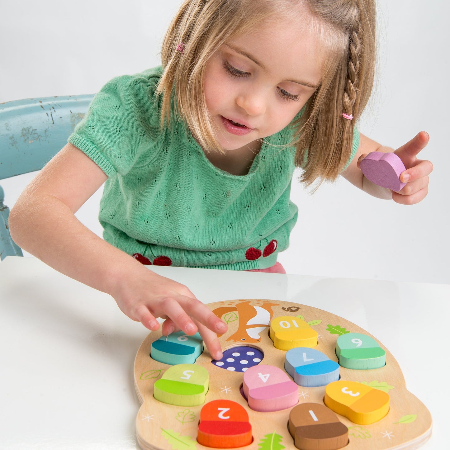 How Many Acorns? Counting Puzzle Toy