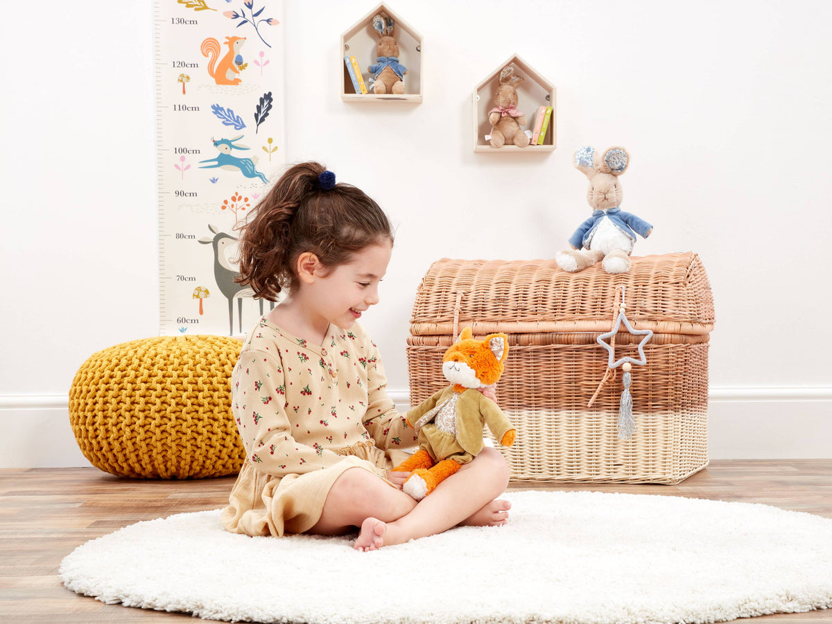 Plush Soft Toy – Peter Rabbit Signature Friends Mr Todd