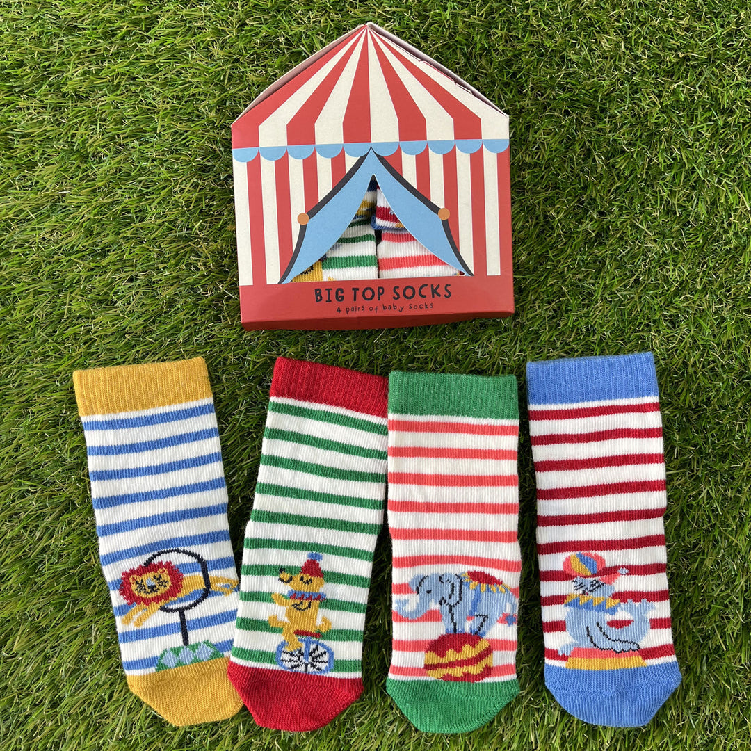 4pk Baby Cotton Big Top Socks Gift Box