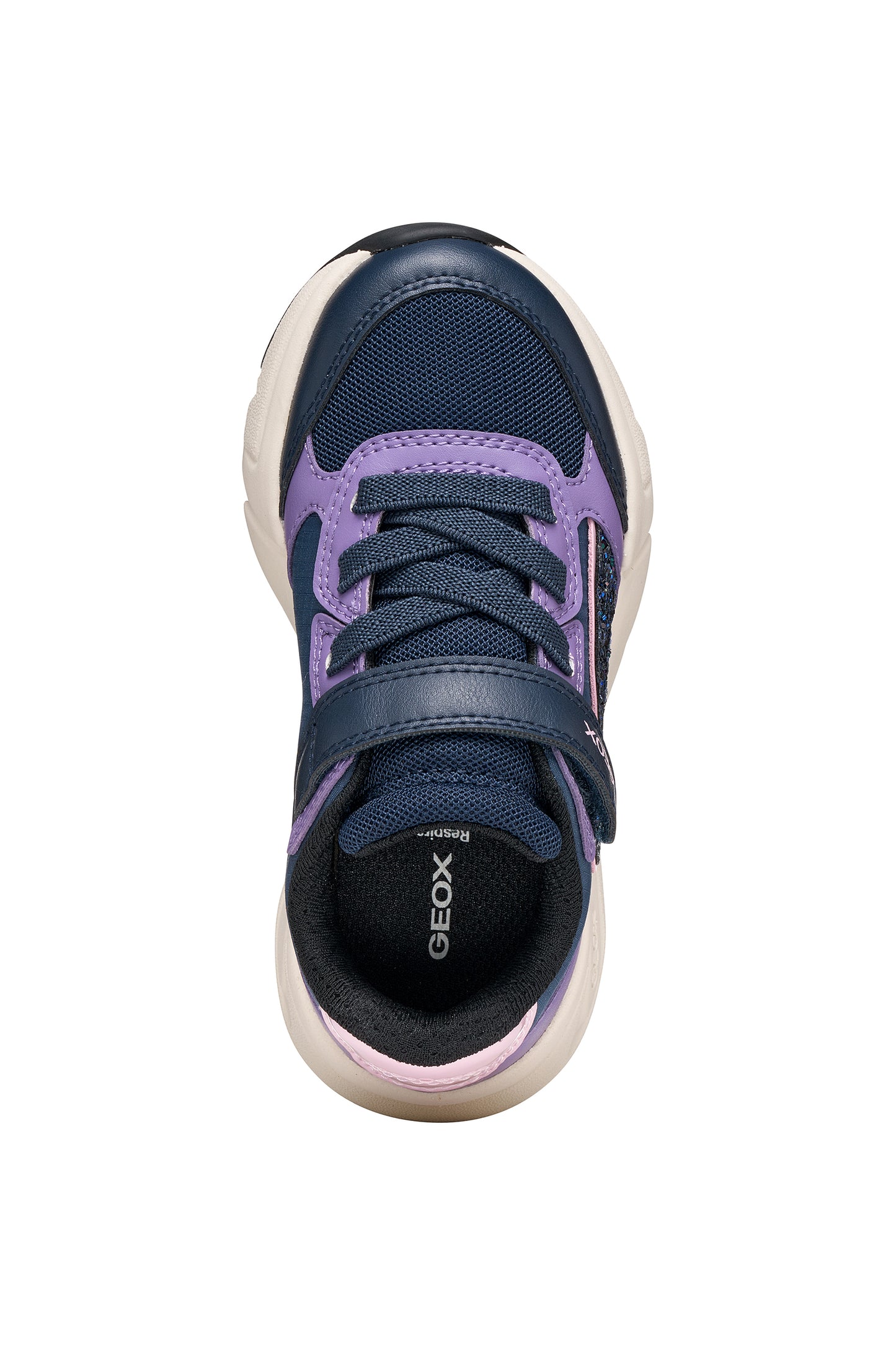 Loftus Navy Lilac Trainer