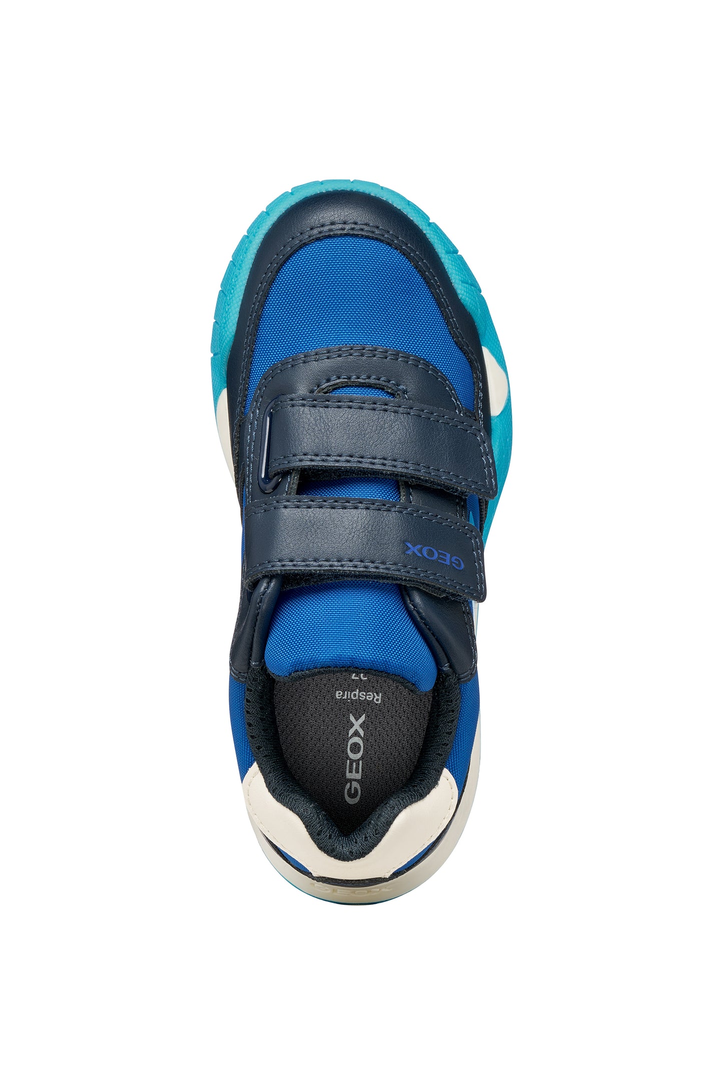 Rann-E Blue Navy Junior Trainer