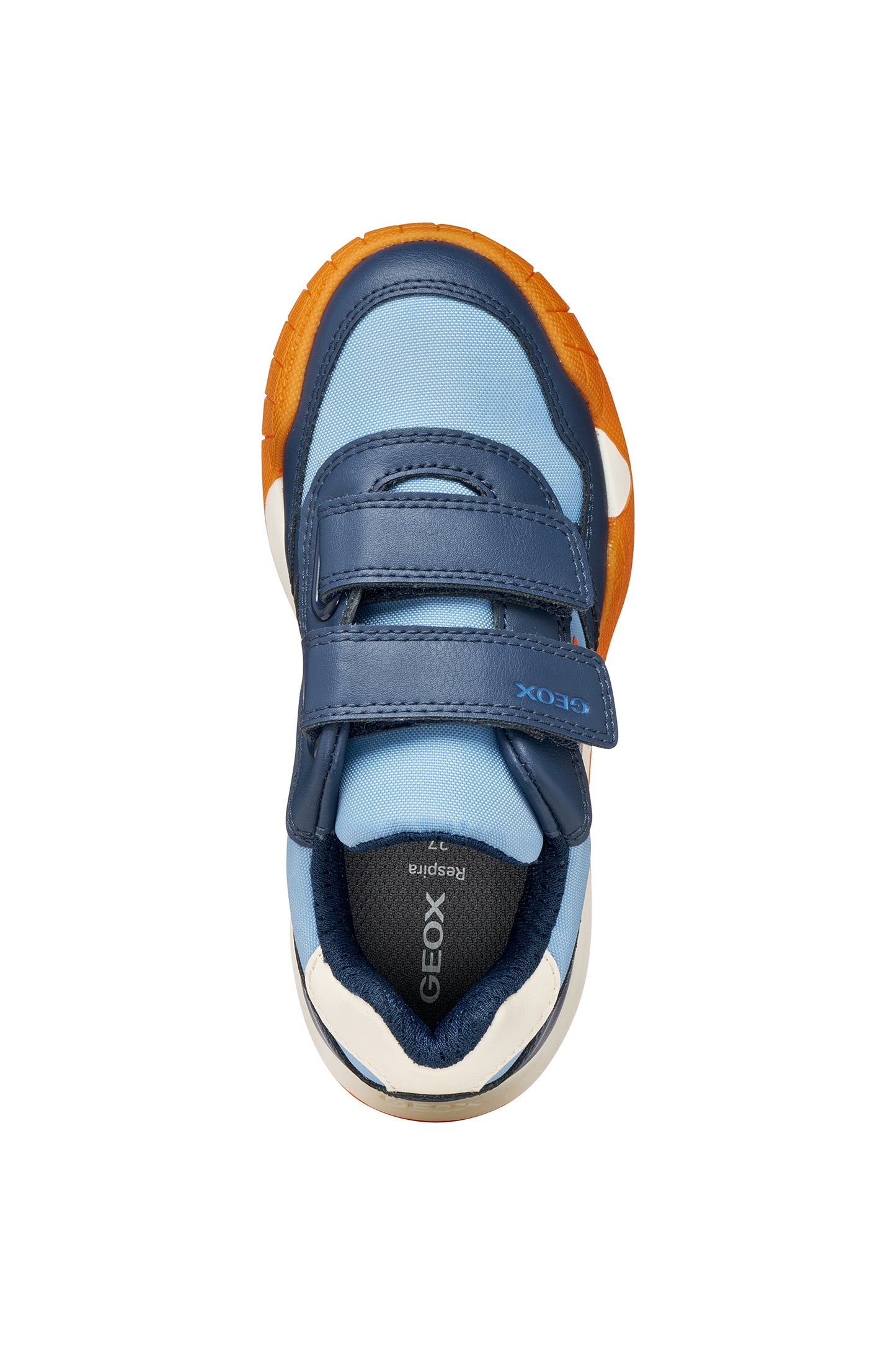 Rann-E Light Blue Navy Junior Trainer