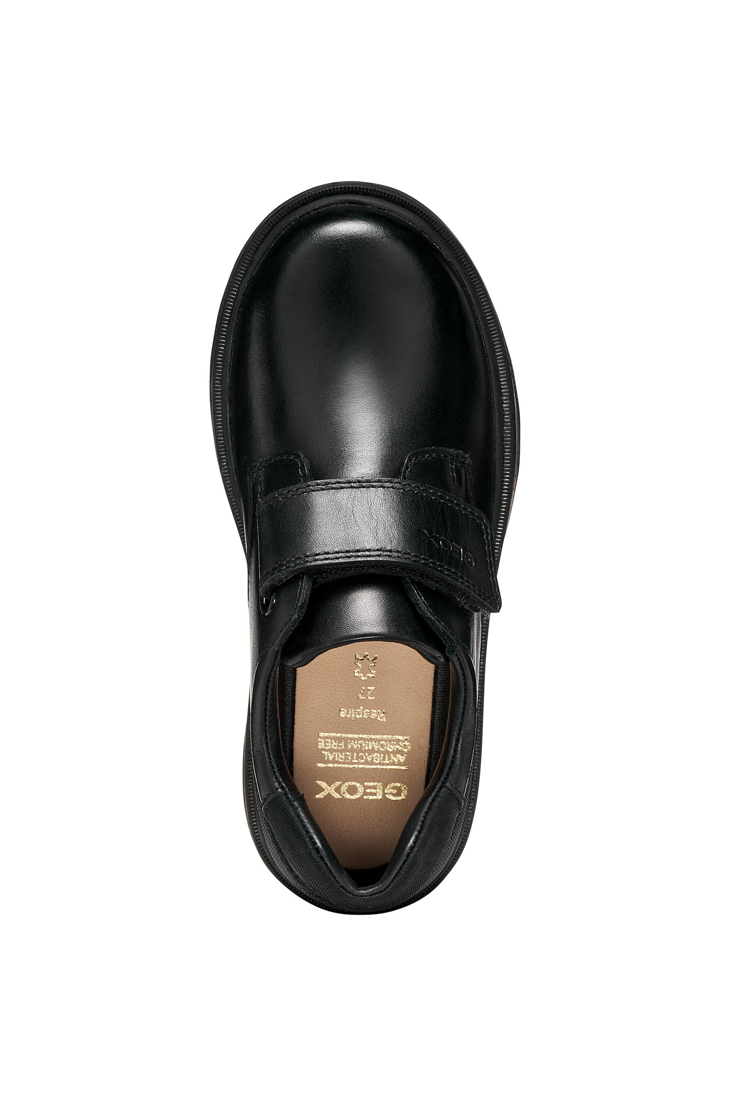 Riddock Single Strap Black Leather Boys School Shoe