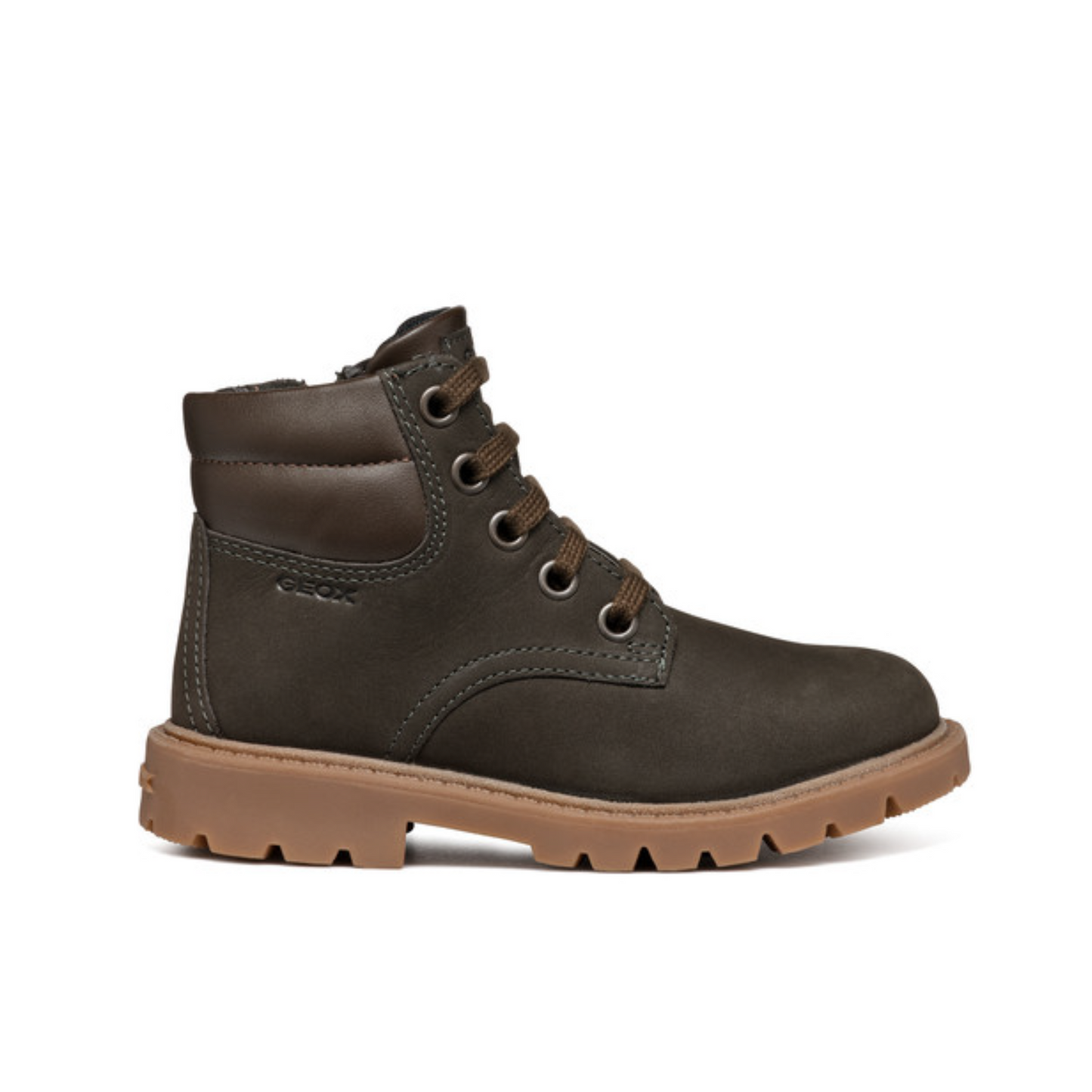 Shaylax Coffee Brown Zipped and Laced Leather Boot