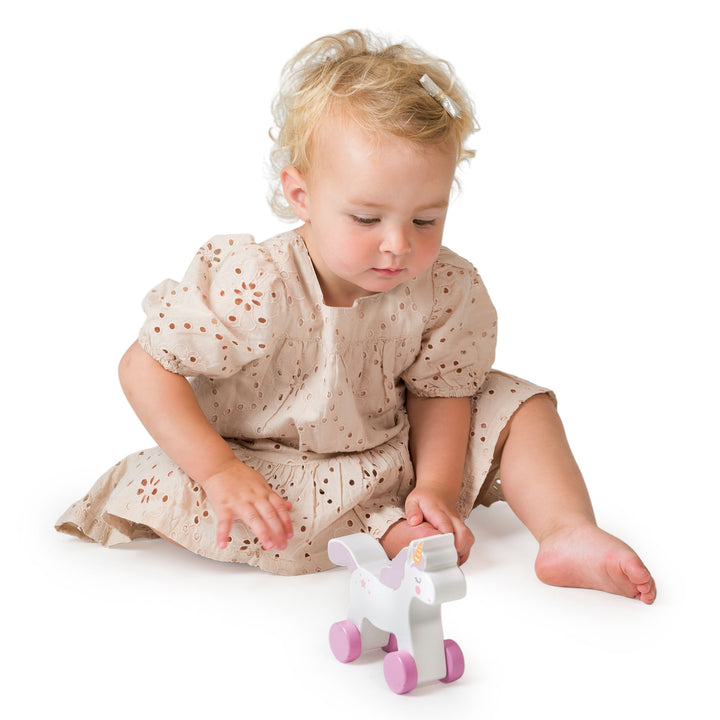 Magic Unicorn Push Along Toy