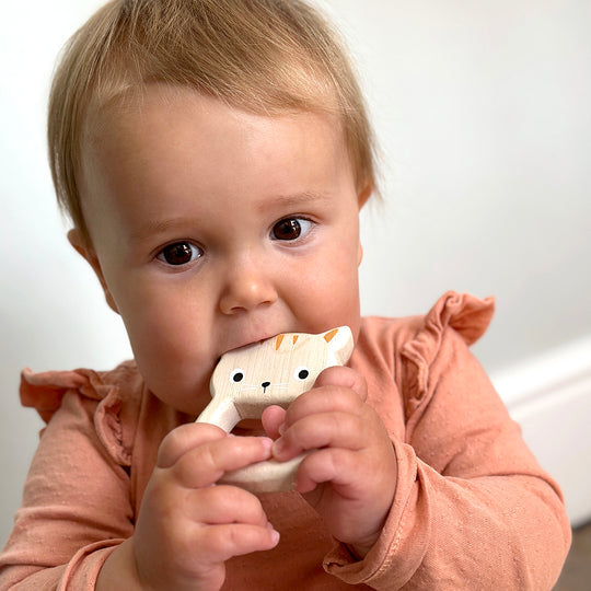 Bird and Kitten Teethers