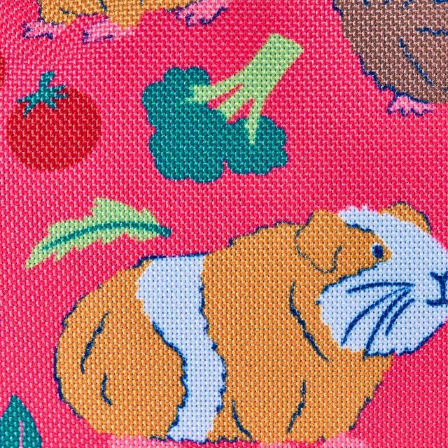 Explorers Guinea Pig Muddle Backpack