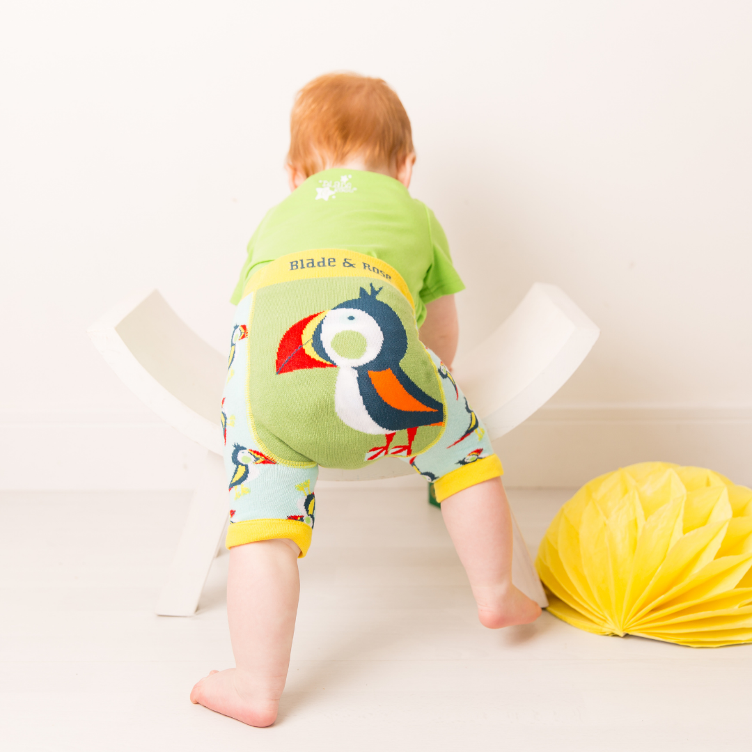 Finley The Puffin Shorts