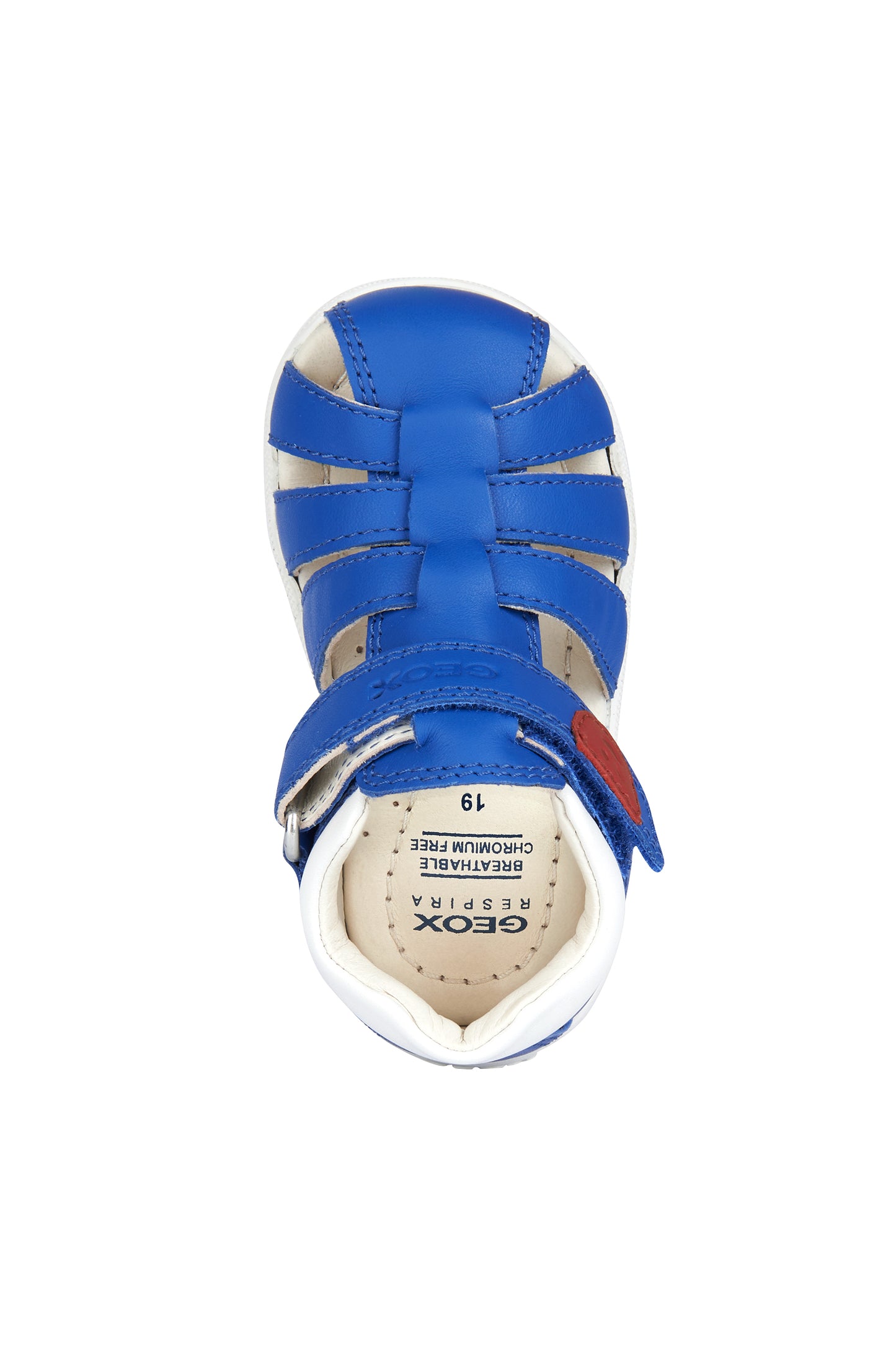 Macchia Baby's Royal Blue Leather Sandal